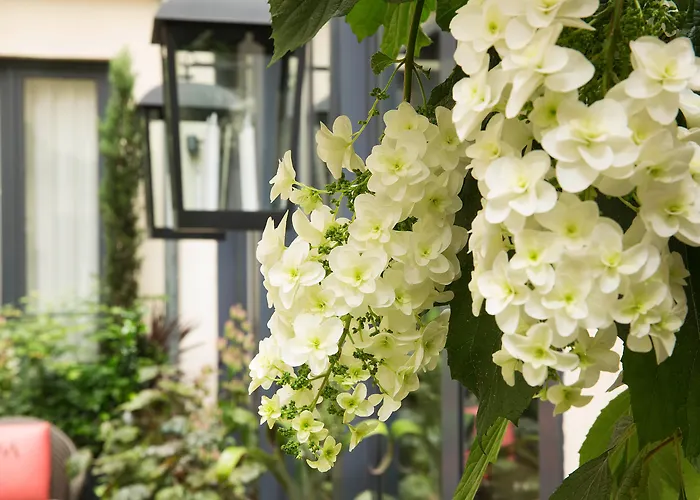 Hôtel Villa Madame - Saint-Germain-des-Prés